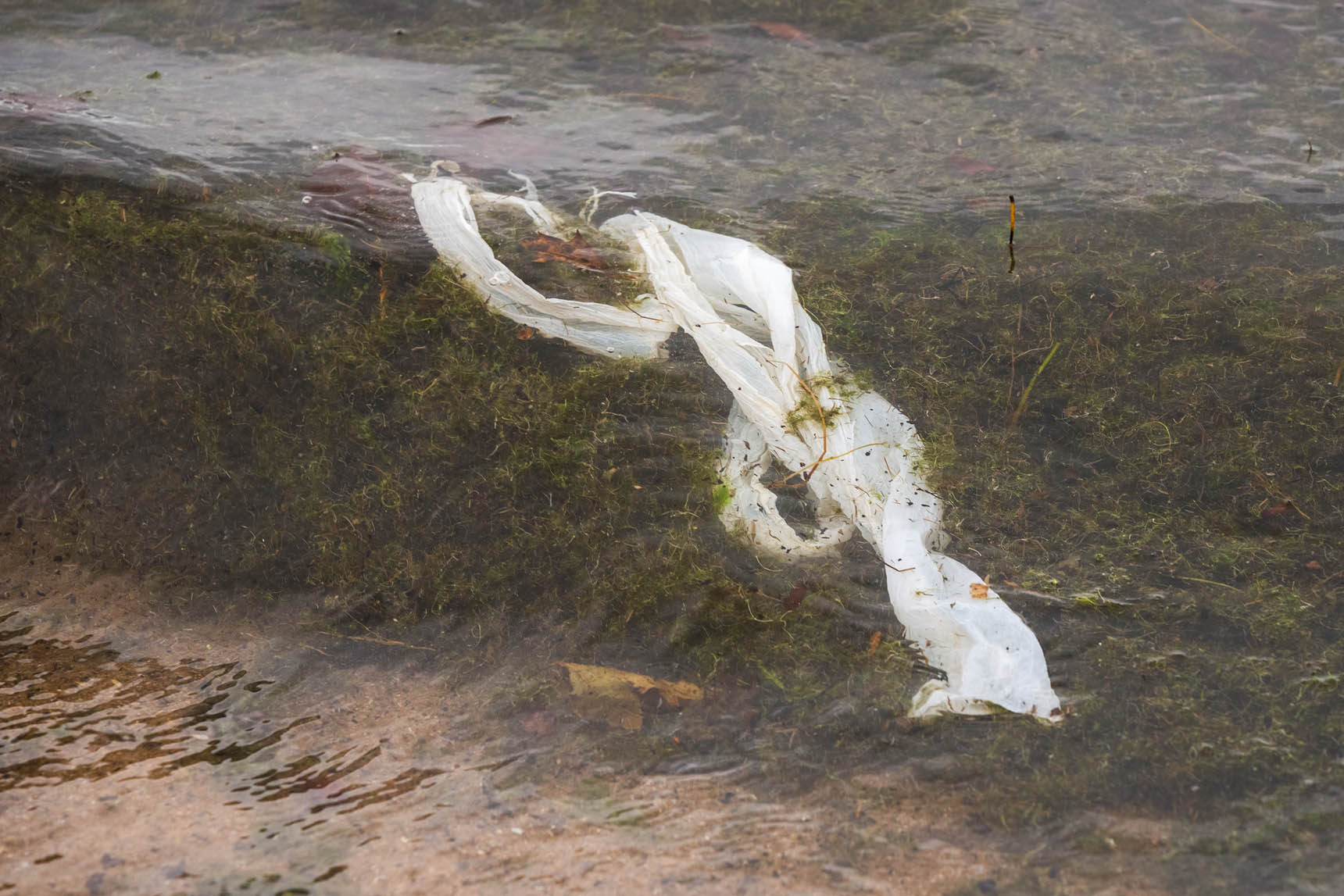  - Great Lakes Plastic Pollution - Photographs by Michael Courier