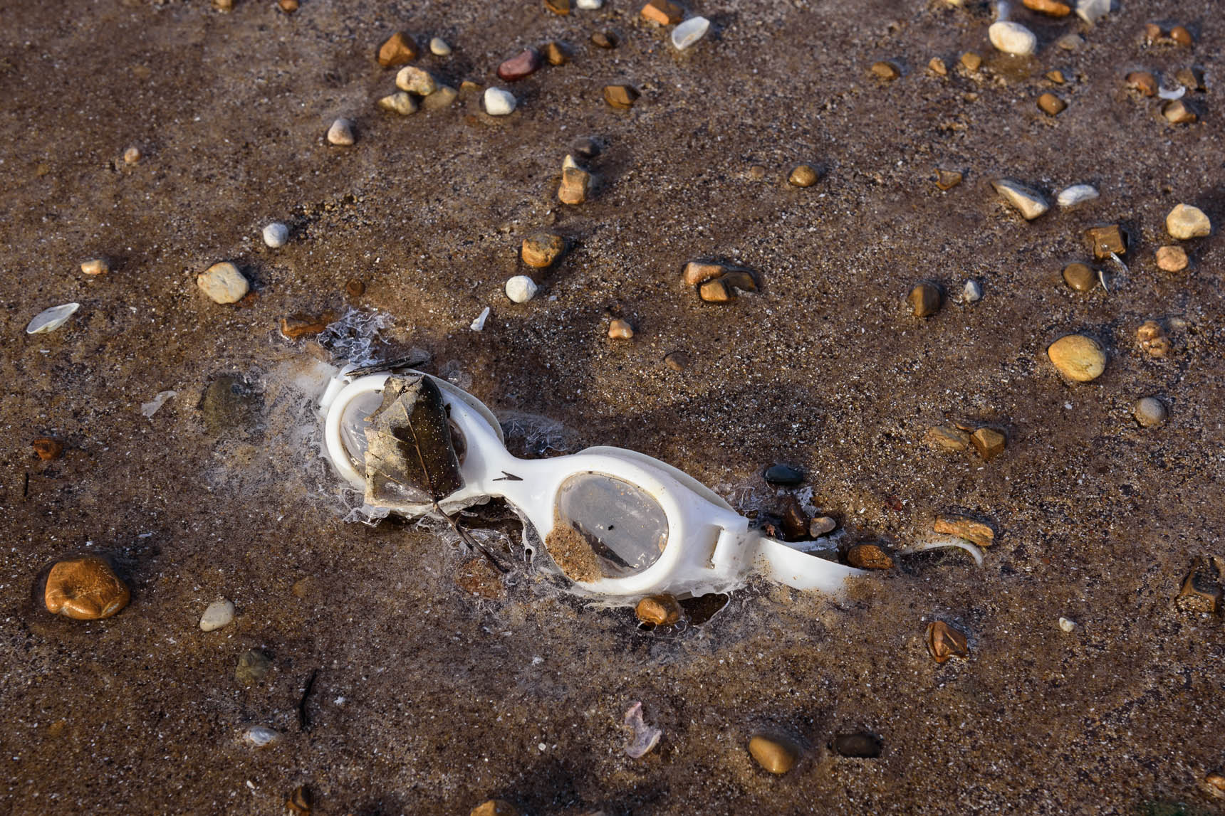  - Great Lakes Plastic Pollution - Photographs by Michael Courier